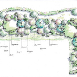 Detail - Blumenbeet mit Zwergsträuchern