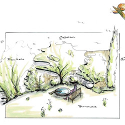 Belebte Ecke mit Insektentränke und Blumenwiese