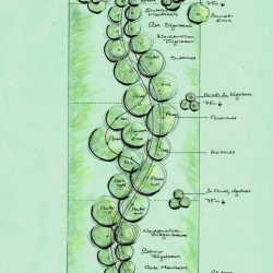 Ein ehrgeiziges Projekt, welches Viehzucht und Fruchtverarbeitung auf einem heißen, trockenen Hektar Land vereint