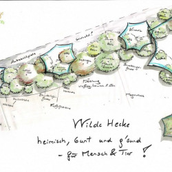 Eine von vielen Hecken für Mensch und Tier mit extra viel Farbe!